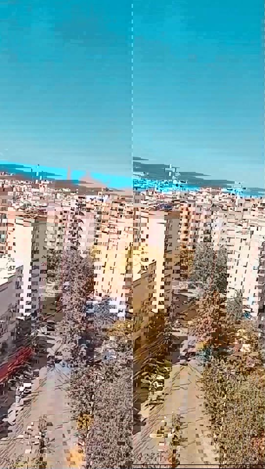 The Adonis Collection Thumbnail