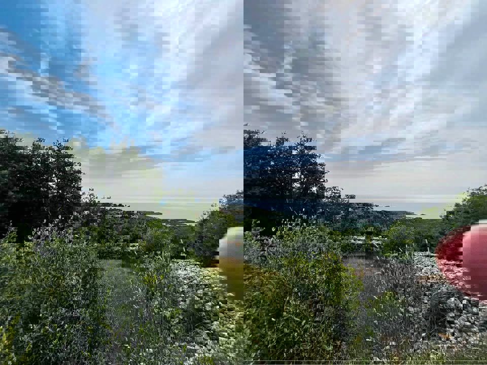 Signature Summit Realty Thumbnail