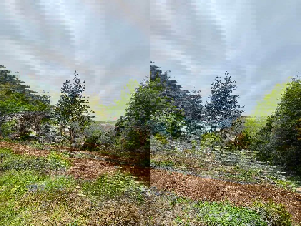 Aura Ghadras Thumbnail