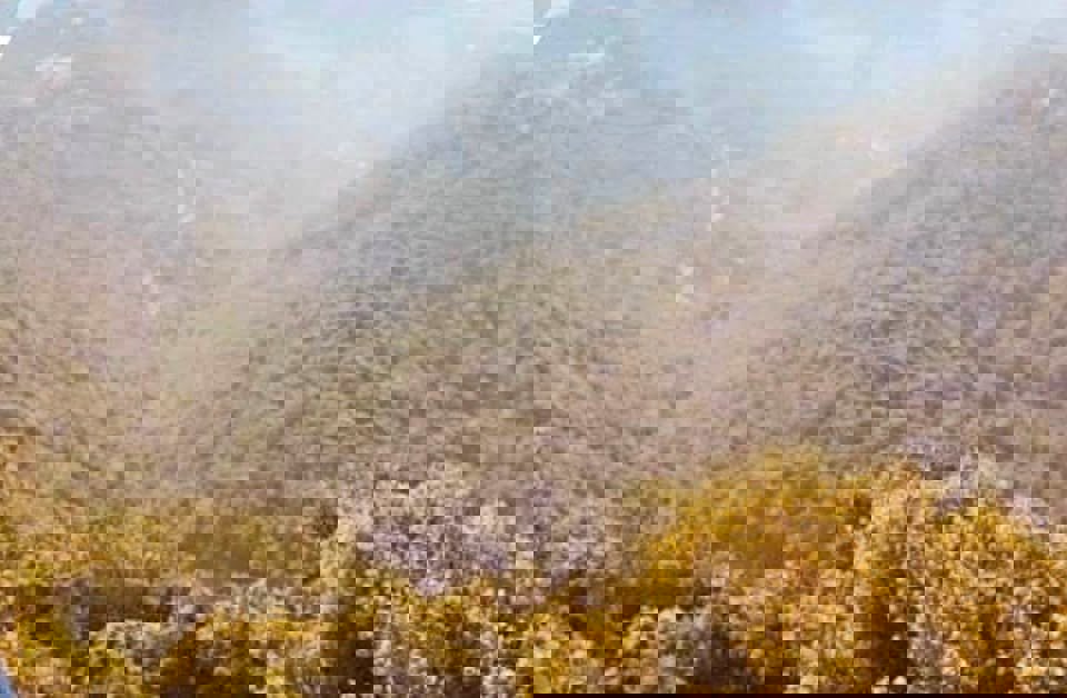 M-Land Group Thumbnail