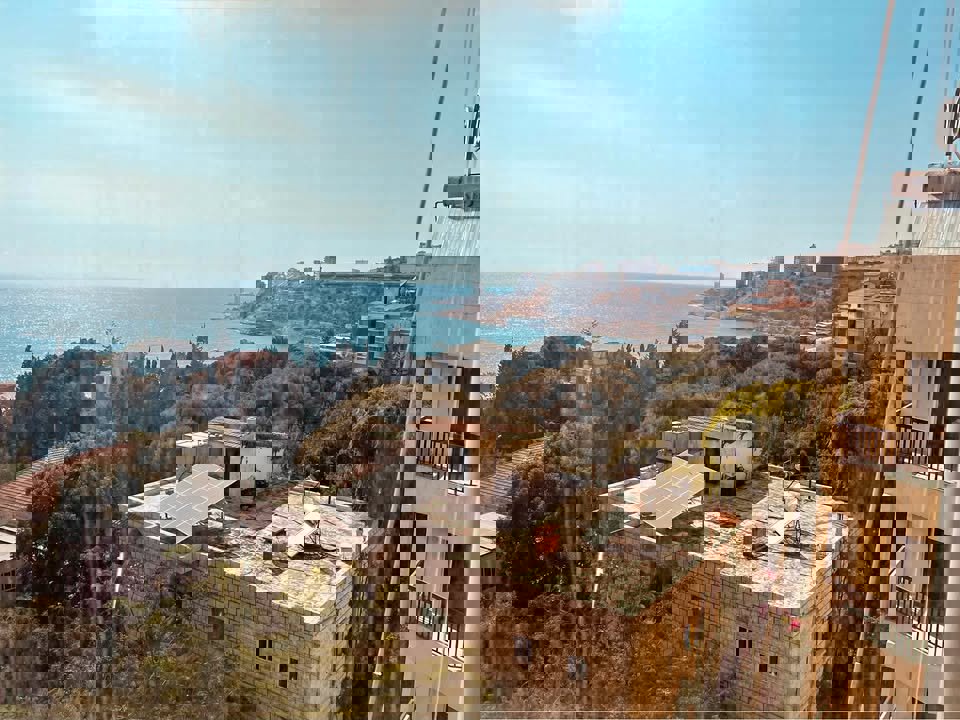 Shoreline Collective Thumbnail