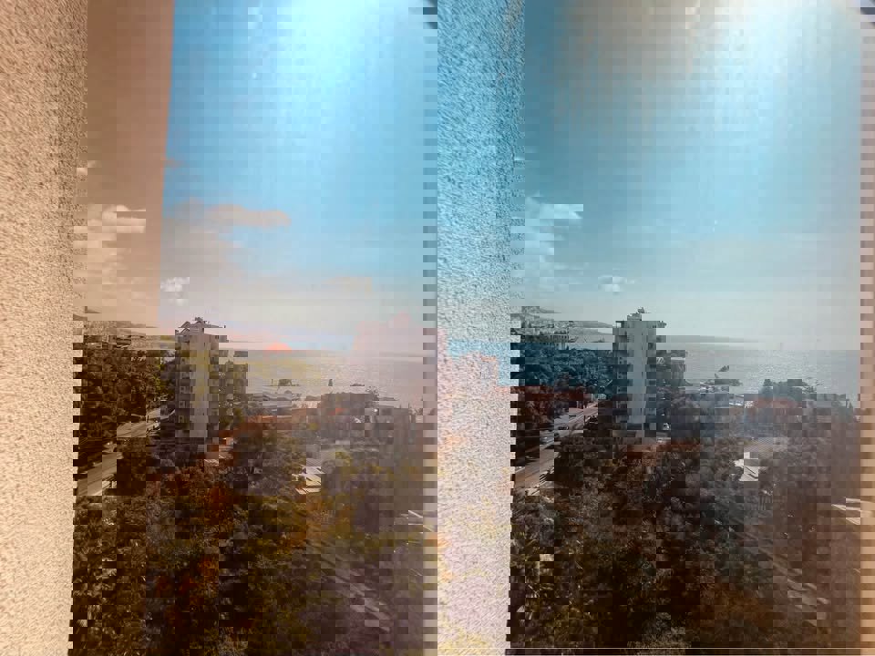 Shoreline Collective Thumbnail