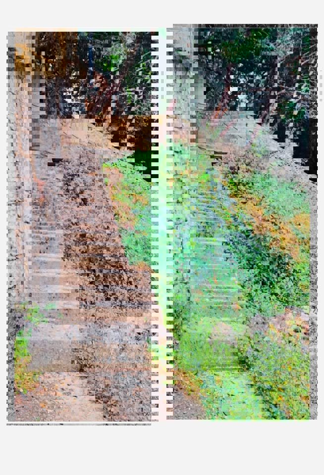 The Grand Horizon Triplex Thumbnail