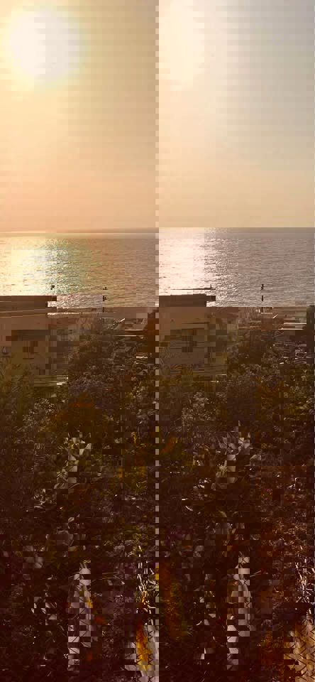 Okaibe Shores Realty Thumbnail