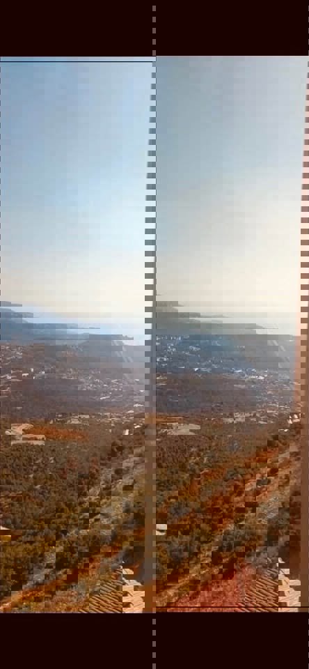 Altitude Real Estate Thumbnail