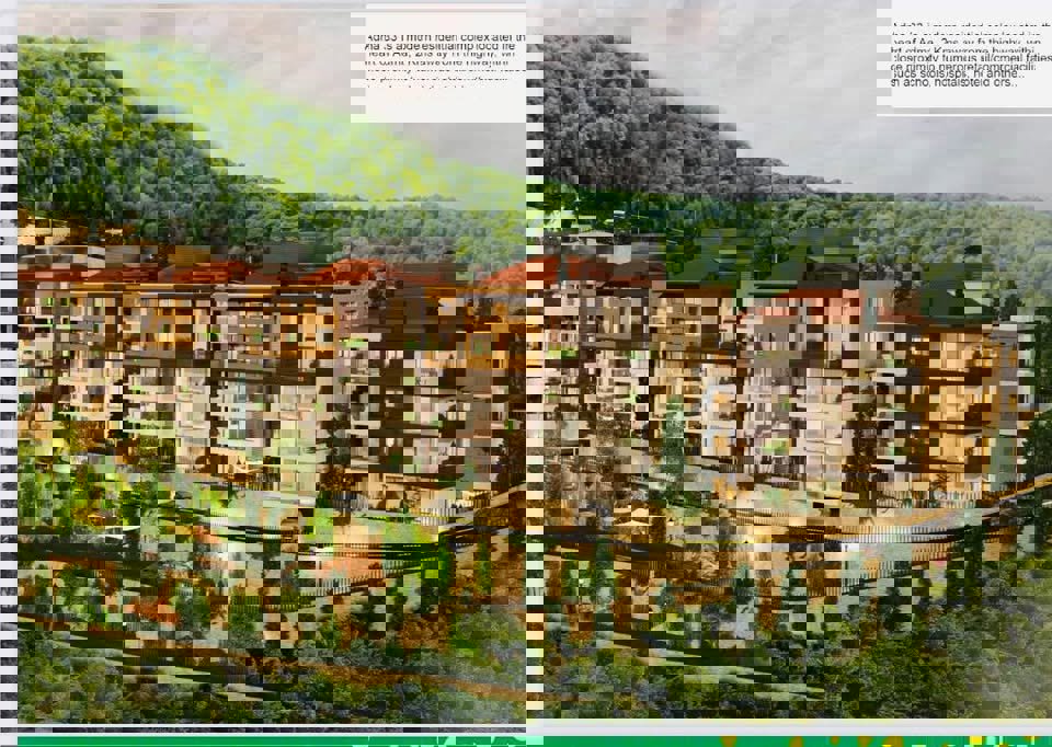 Adma Collective Thumbnail