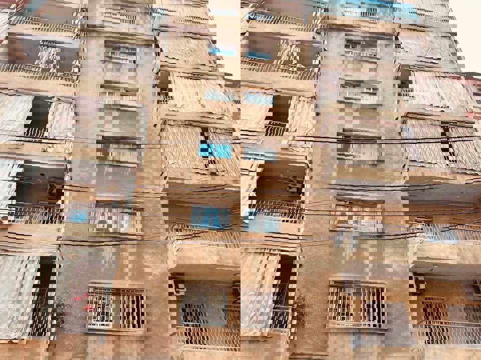 Urban Roots Thumbnail