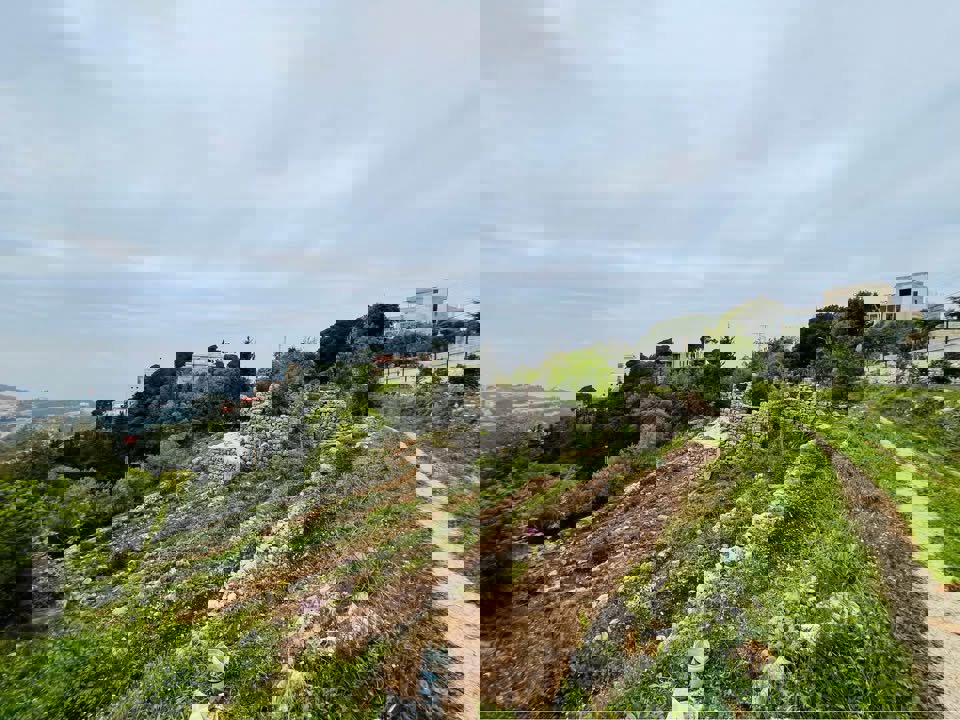 Aura Ghadras Thumbnail