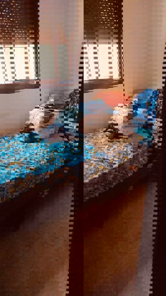 Zouk Prime Realty: Thumbnail