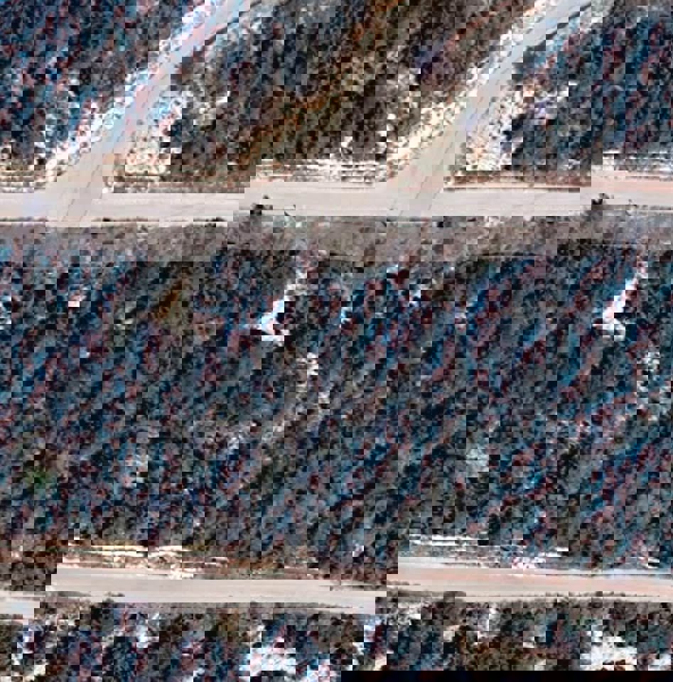 Green Peak Estates Thumbnail