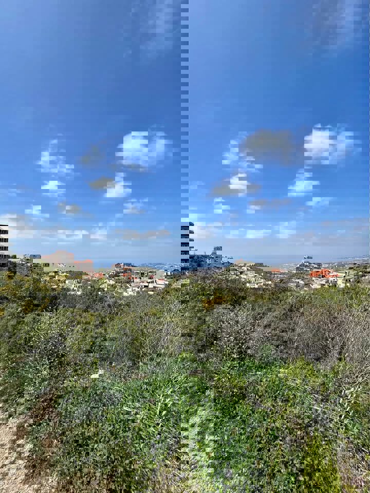 Apex Hboub: Thumbnail