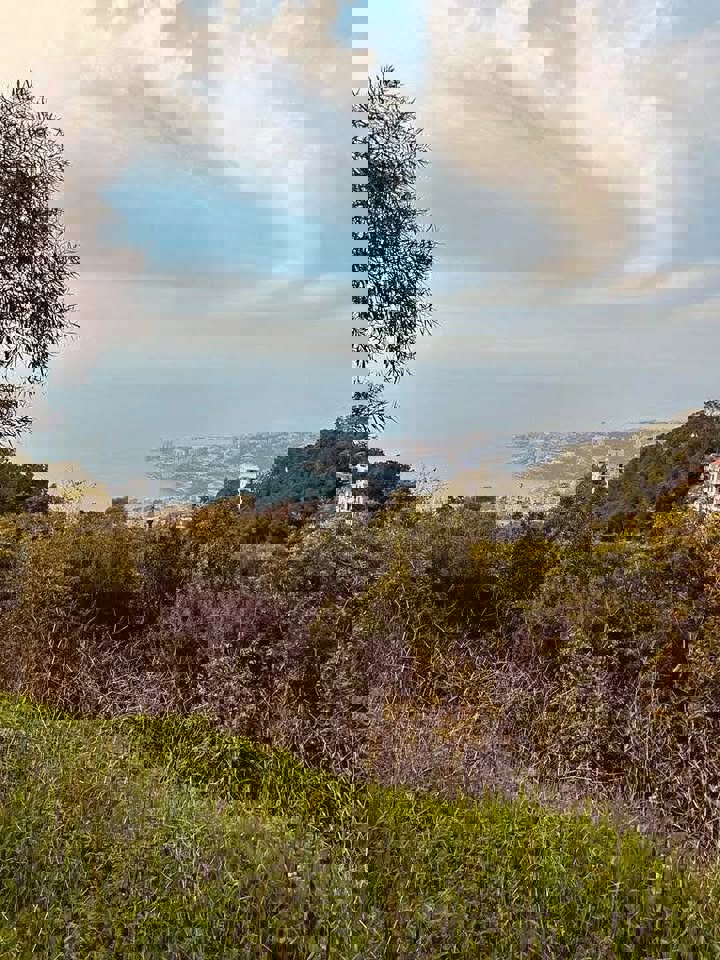 Chnan3ir Land Thumbnail