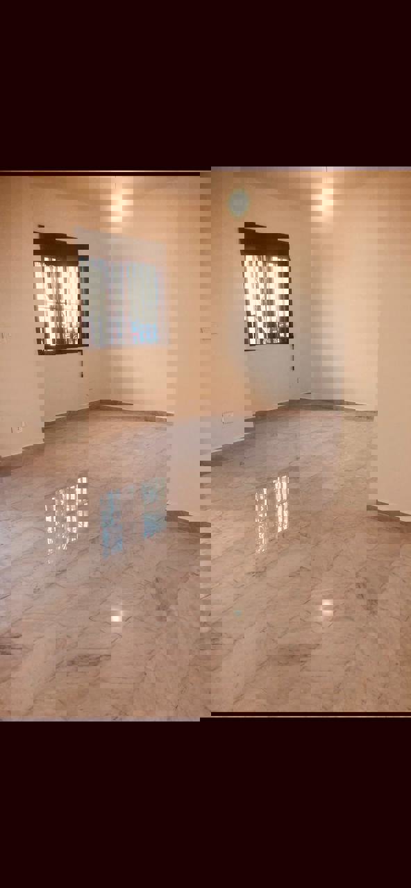 Adonis Link Real Estate: Thumbnail