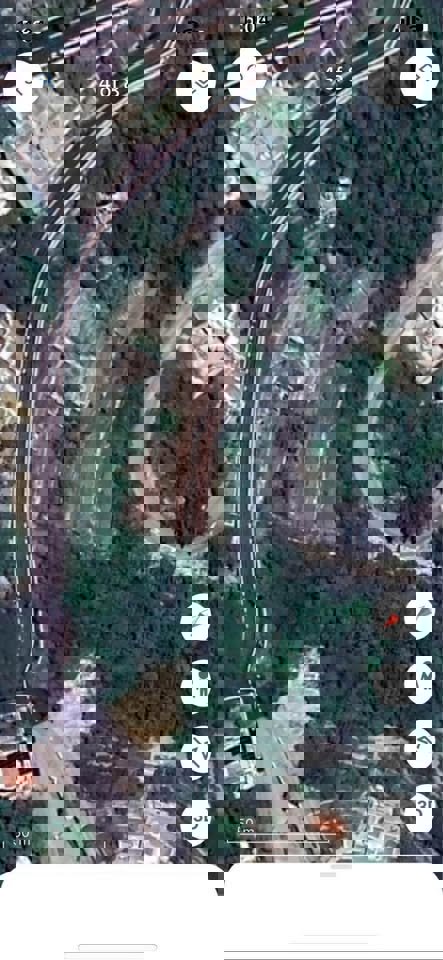 Aura Ghadras Thumbnail