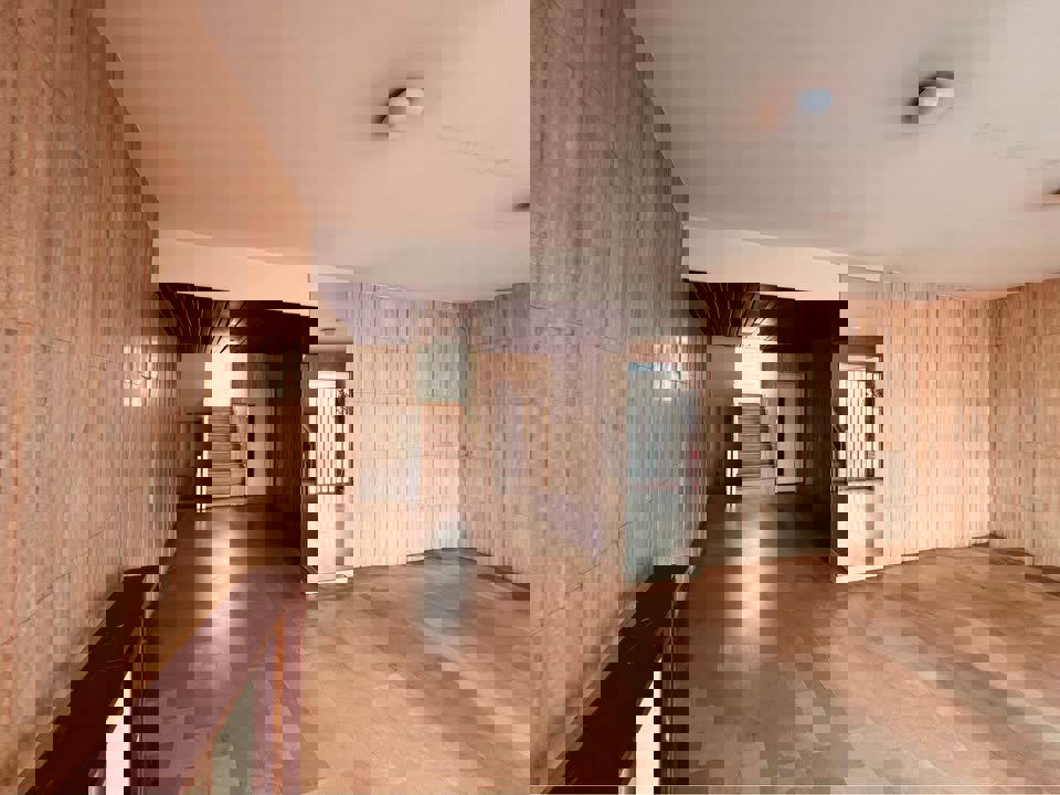 Shoreline Collective Thumbnail