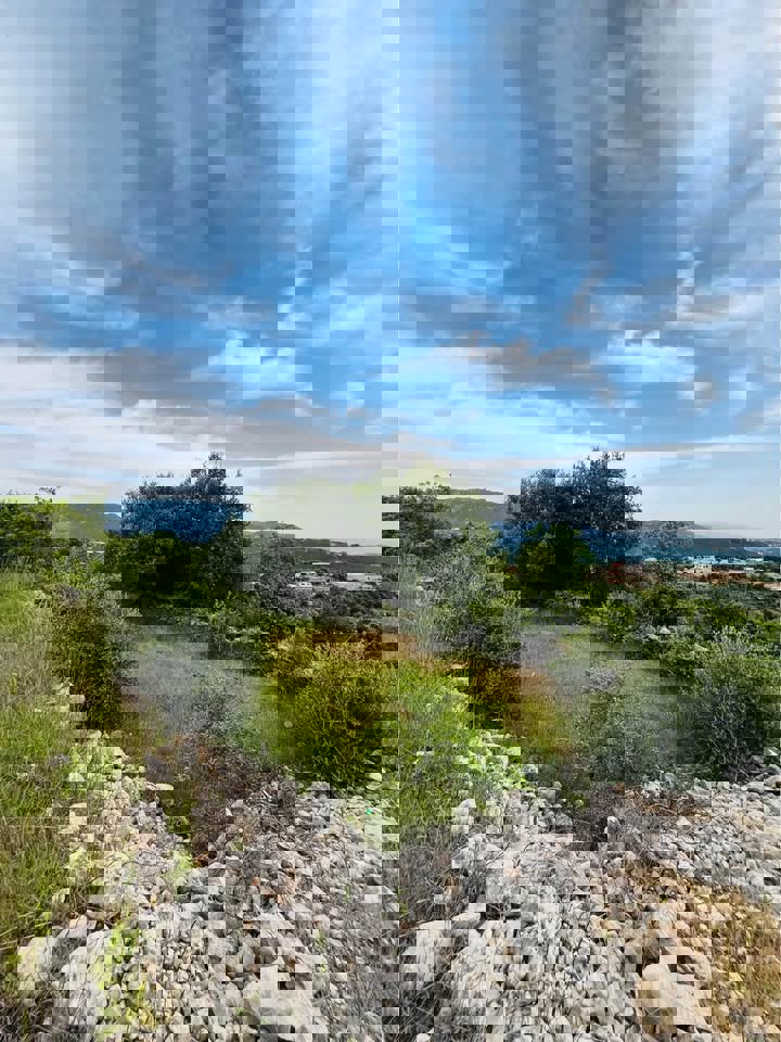 Altitude 900 Realty Thumbnail