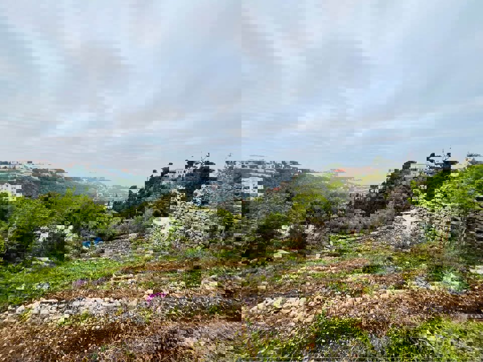 Aura Ghadras Thumbnail