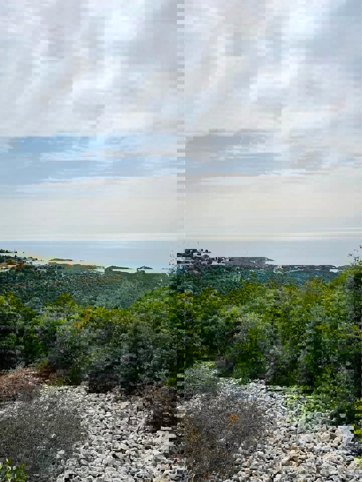 Altitude 900 Realty Thumbnail